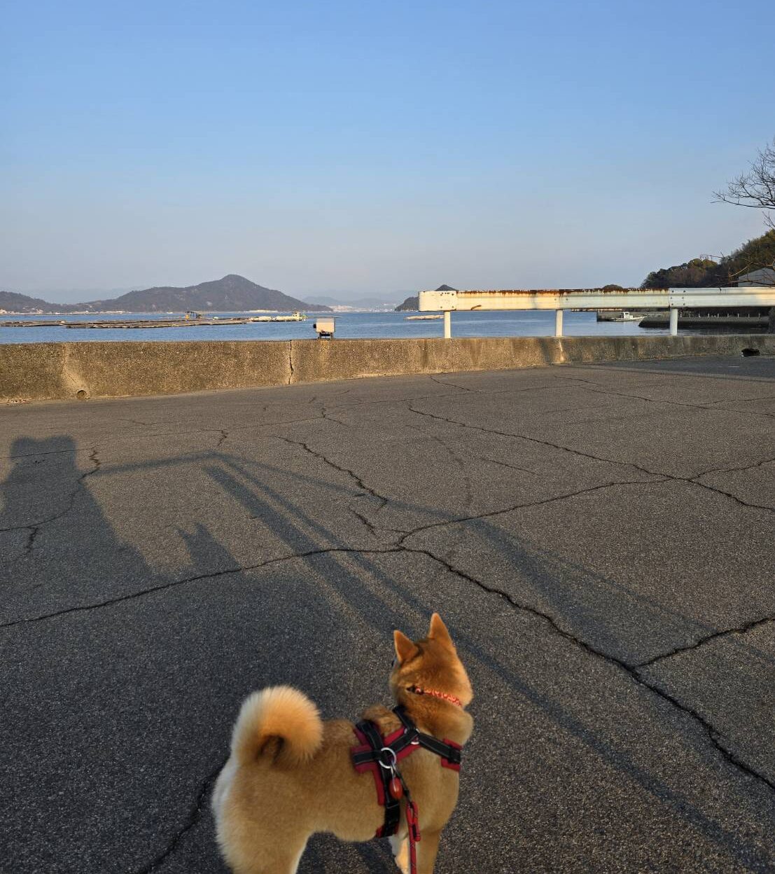 もりもり訪問看護ステーション